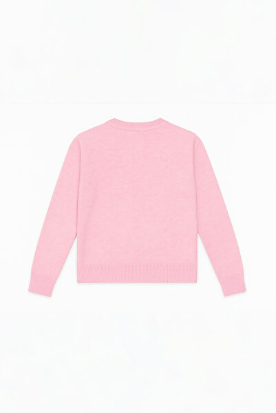 Eazy Co EazyStudio+ Kadın Pembe Bisiklet Yaka Basic Düğmeli Triko Hırka