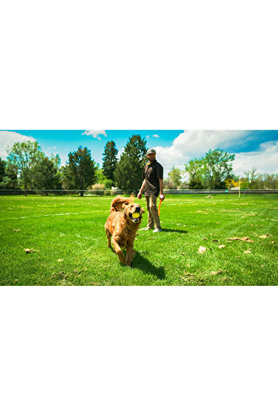 Hunter Lansator de mingi pentru câini