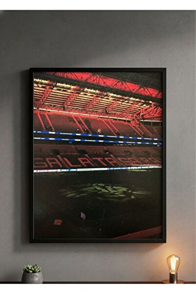 BuzzDesigns Galatasaray Stadyum Tablosu (Çerçeveli)