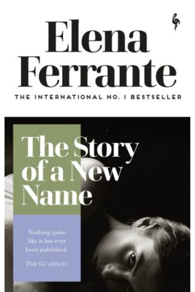 Europa Editions Romane napolitane 2: Povestea unui nume nou - Elena Ferrante