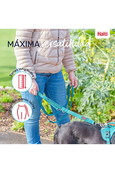 Company Of Animals Dog Lead Turquoise L