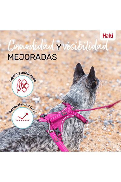 Company Of Animals Dog Harness Burgundy L 42-65 cm