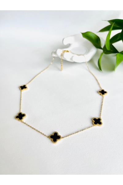 Fynbos قلادة من الفولاذ المقاوم للصدأ باللون الأسود والذهبي