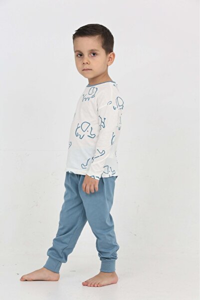 Toontoy Boy's Elephant Panel Printed Pajama Set