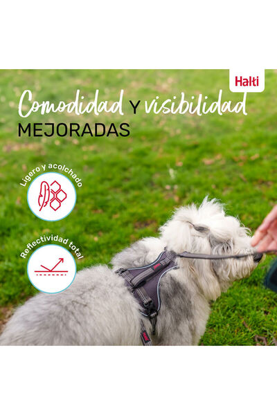 Company Of Animals Dog Harness Grey L 42-65 cm