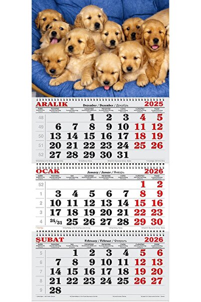 GENC DIJITAL BASKI 2026 Yılı Gemici Takvimi-Golden Yavruları