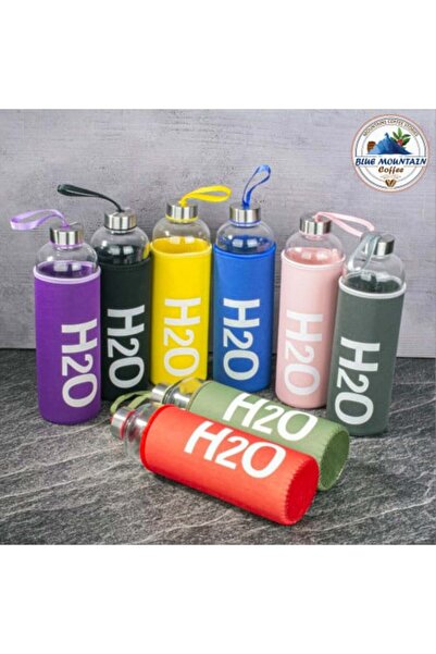 H2O Glass Water Bottle with Lid - Liquid Holder