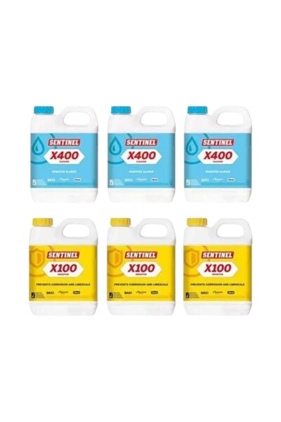 Eca Sentinel X100 ,X400 Radyatör (Petek Temizleme) 6'lı