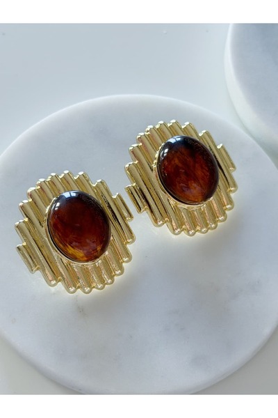 CHARMLUCKY Steel Leia Earrings