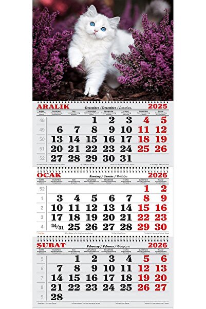 GENC DIJITAL BASKI 2026 Yılı Gemici Takvimi-Mor Çiçekler İçinde Kedi