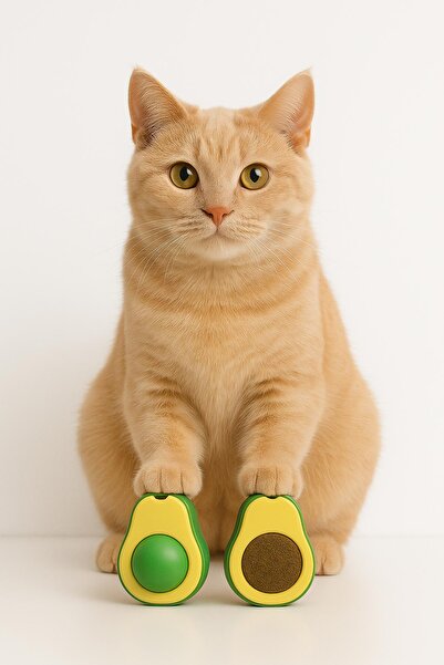 PHENORA كرة النعناع للقطط بتصميم الأفوكادو - متعة اللعب التي تدوم طويلاً للقطط!