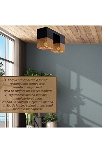 NEXTLY Illumia Black-Gold Dual-Source LED Ceiling Fixture, E27, 32x10x16cm, Indoor Use