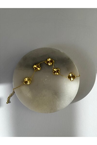 Lika Vanclef çelik bileklik