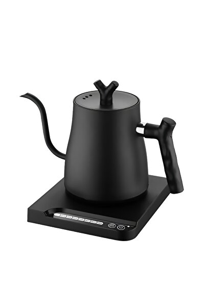 Gorielden Stainless Steel Gooseneck Electric Kettle Auto Shut-Off 1000W Rapid Heating 1L