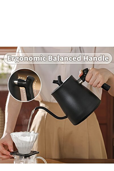 Gorielden Stainless Steel Gooseneck Electric Kettle Auto Shut-Off 1000W Rapid Heating 1L