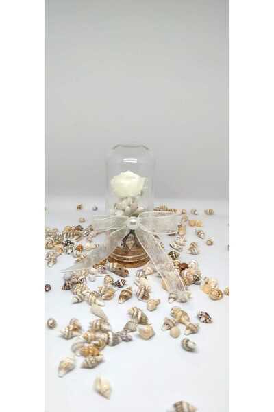 Daghediyelik Söz Nişan Kına Hediyelik (10 adet )