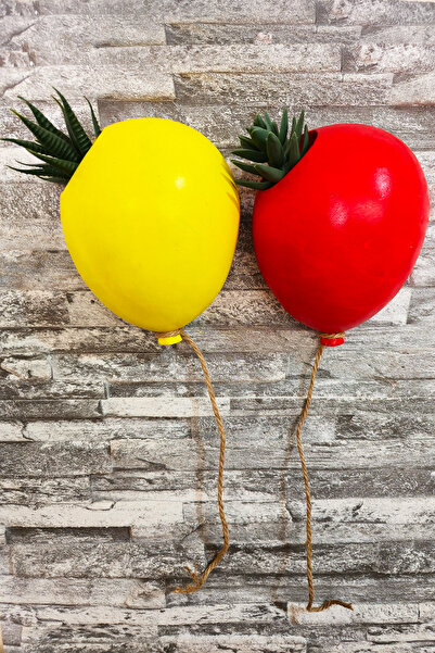 Entude 2'li Renkli Büyük Balon Duvar Saksısı Seti – Duvara Monte El Yapımı Su...