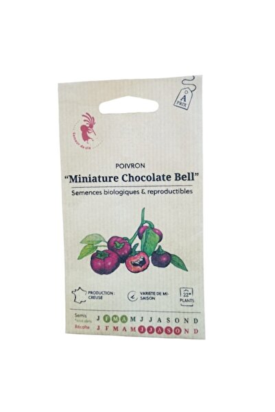 OEM semințe tradiționale de piper „Chocolate Bell Miniature”