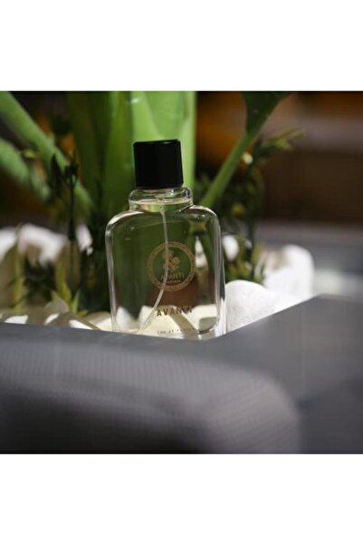 Avanti عطر للجنسين — 100 مل، رائحة المسك تدوم طويلاً (72 ساعة)