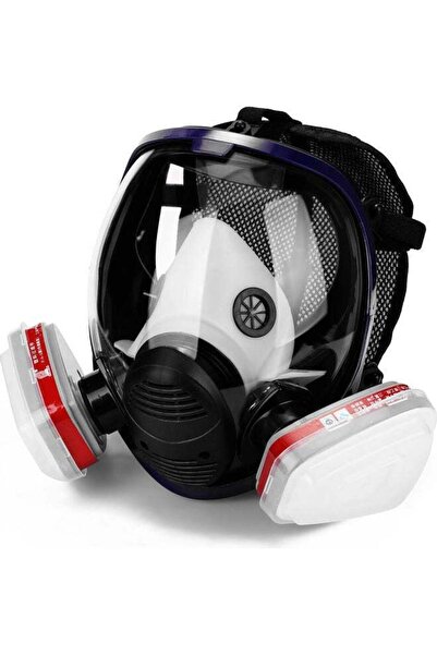 fulina Full Face Respirator Mask with Filters, Anti-Fog Lens Anti-Gas Anti-Dust Gas Mask Against Paint
