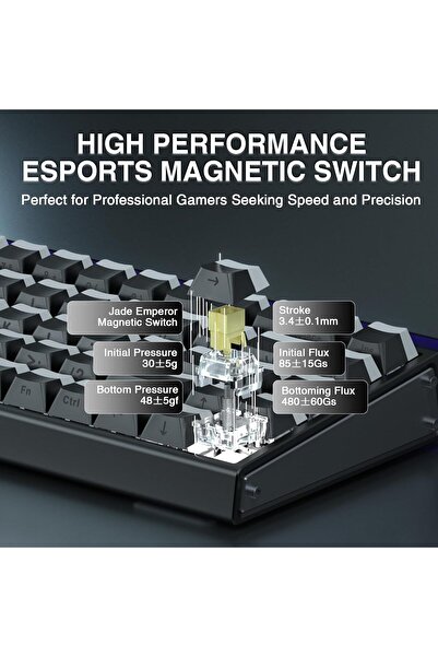 Aula HERO 68 Gaming Keyboard - Hall Effect Magnetic Switches, 0.01mm Adjustable, RGB, 60% (Black)