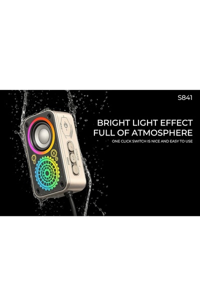 Lenyes S841 Wireless Bluetooth Portable Speaker, 10W, Bluetooth v5.3, RGB, 4H Playtime (Black)