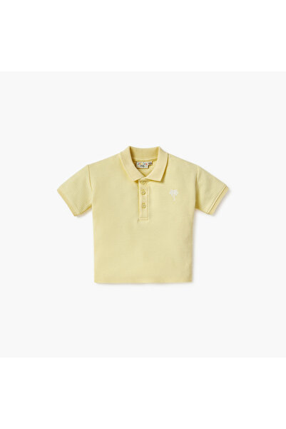 Juniors Textured Polo T-shirt and Shorts Set