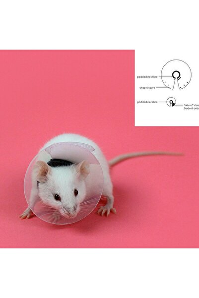 KVP Zgardă elisabetană transparentă pentru rozătoare 7,5-10 cm