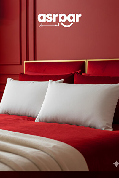 Asraar 2 Pieces | Microfiber Cushion Filler - White - 50x30 cm