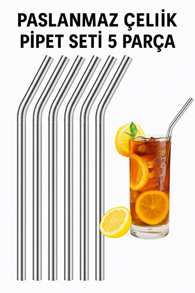 Zogira 5 Parça Paslanmaz Çelik Pipet Seti Çevre Dostu Yeniden Kullanılabilir ...