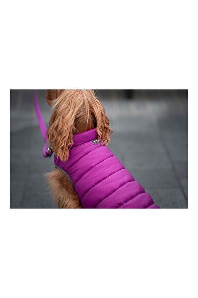 RedDingo Dog Coat Red Dingo Puffer 50 cm Pink/Purple