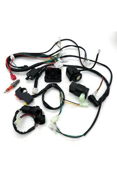 Choice 1set Complete Electrics Wiring Harness Spark Plug CDI Ignition Coil Ki...
