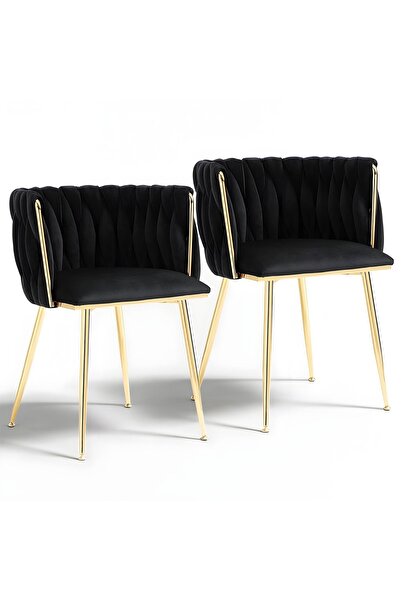 Elindor Set de 2 scaune ergonomice Elindor®, tip carcasă, design contemporan, scaun, negru