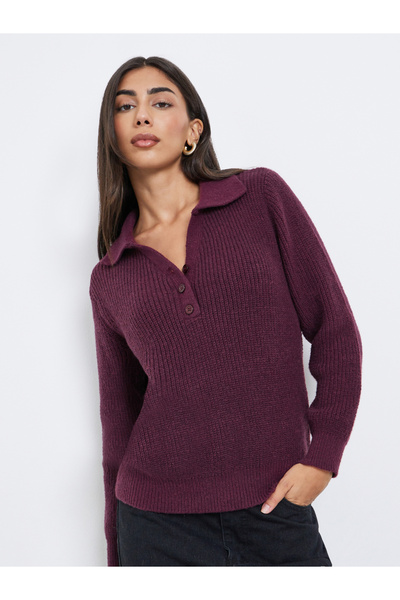 Styli Burgundy Regular Fit Knit Sweater with Button Placket