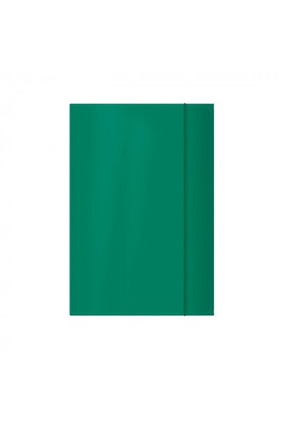 Colorarte laminated cardboard folder with elastic, A4, green