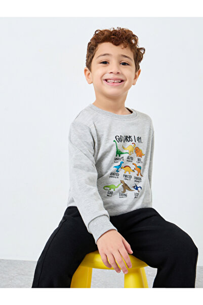 Styli Boys Grey Dinosaur Print Sweatshirt