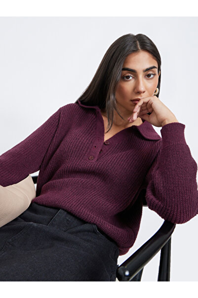 Styli Burgundy Regular Fit Knit Sweater with Button Placket