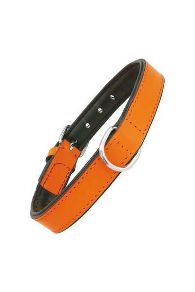 Gloria Zgardă pentru câini căptușită portocalie (50 x 2,5 cm)