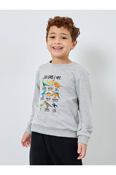 Styli Boys Grey Dinosaur Print Sweatshirt