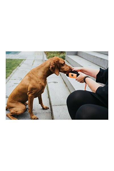 Hunter Ambalaj Gustări Dummy Negre Portocaliu