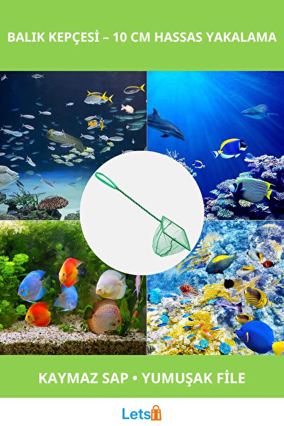 Letsii مغرفة أسماك حوض السمك مريحة ومتينة مقاس 10 سم