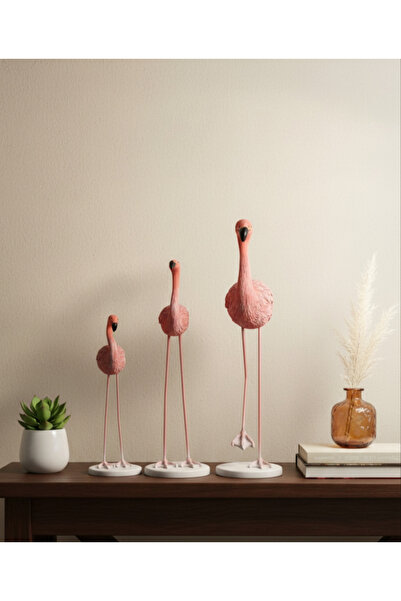 Lebron 3'lü flamingo Pembe