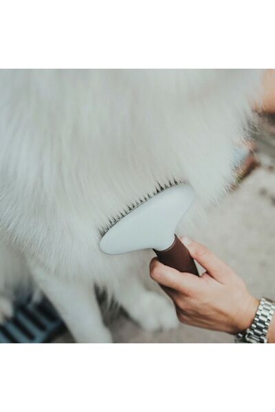 Hunter Greblă pentru descurcarea părului