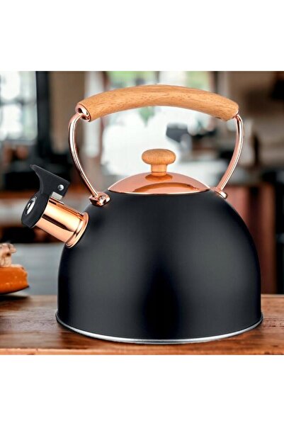 Florentyna Stainless steel kettle with whistle, traditional kettle, 2.5 liter capacity, black, Florina