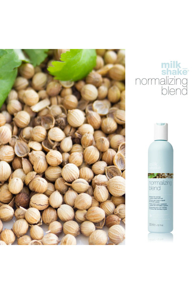 Milkshake Șampon pentru păr gras, Milk Shake, Șampon Normalizant Blend, 300ml