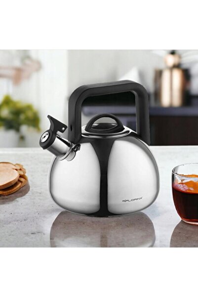 Florentyna Stainless steel kettle with whistle, traditional kettle, 2.5 liter capacity, silver-gray, Florina