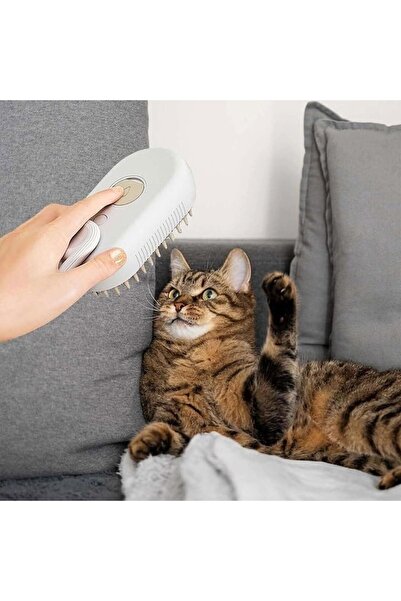 FONIX PetGroom Touch Pet Brush with Steam Function, Soft Silicone Tips, USB Powered, White