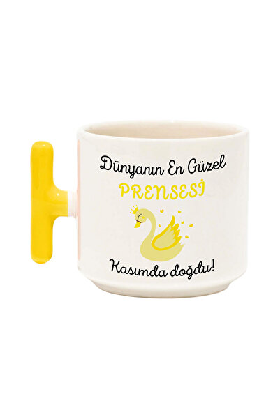 qoeuyl boutique The Most Beautiful Princess in the World Was Born in November Printed Birthday Gift t Cup Mug with Handle