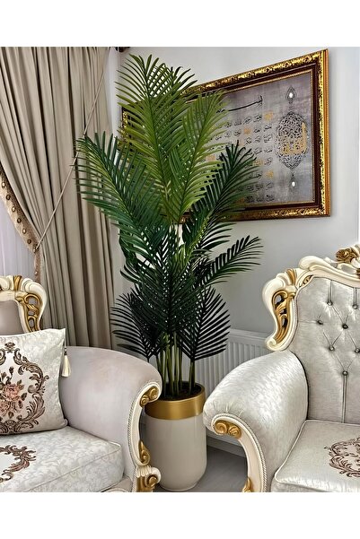 İremÇiçekçilik Krem Gold Darbuka saksıda Tusem Areka - 210 cm