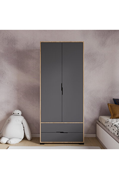 ALONEX HOME Royal 2 Kapaklı Çekmeceli Full Antrasit Gardırop, Elbise Dolabı, Çocuk Odası, Genç Odası